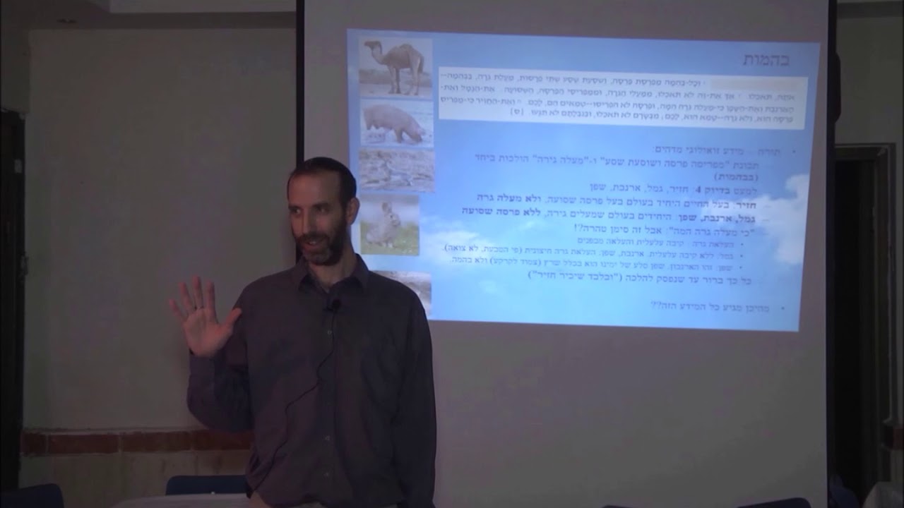 בעלי חיים - חלק 1