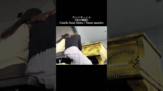 Download lagu サン=サーンス《死の舞踏》Camille Saint-Saëns / Danse macabre mp3 Download lagu サン=サーンス《死の舞踏》Camille Saint-Saëns / Danse macabre mp3