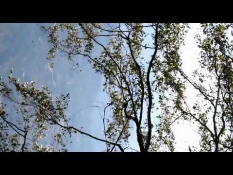 kamal kant tyagi  sikkim my way