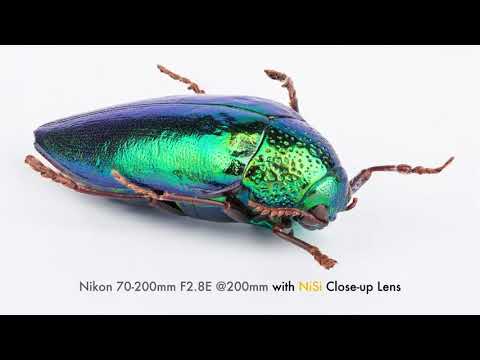 NiSi Austria - Die NiSi Nahlinse - mache aus deinem Teleobjektiv ein Makroobjektiv