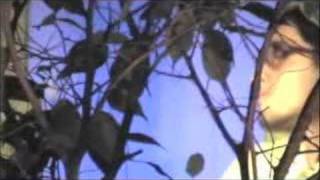 Wilson Simoninha e Miele Balanço zona sul