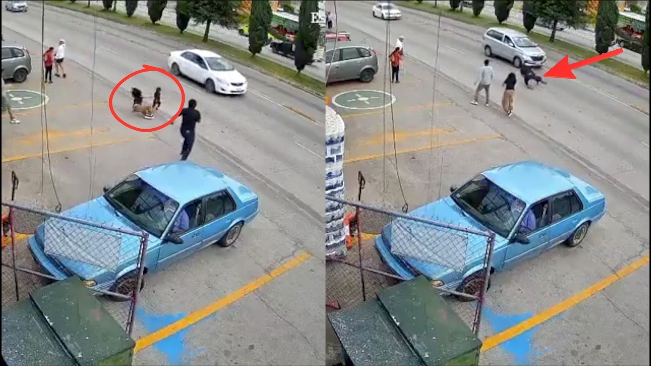 QUÉ LE DIERON al que SALVÓ a UNA NIÑA de SER ATR...?