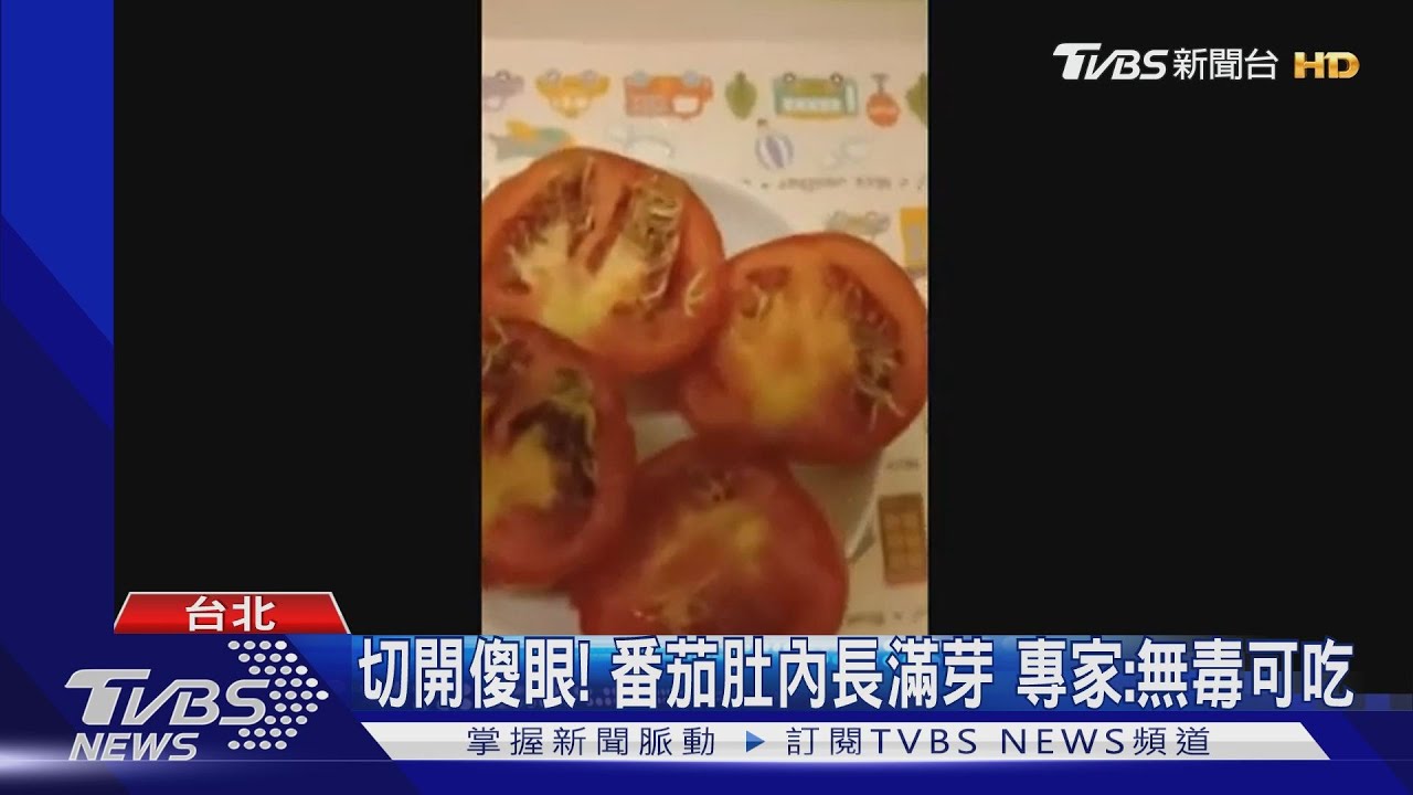 切開傻眼!番茄肚內長滿芽 專家:無毒可吃