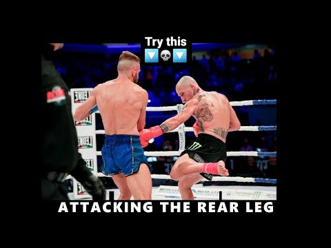 Attacking the rear leg tutorial