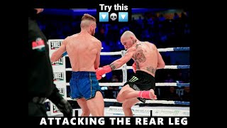 Attacking the rear leg tutorial