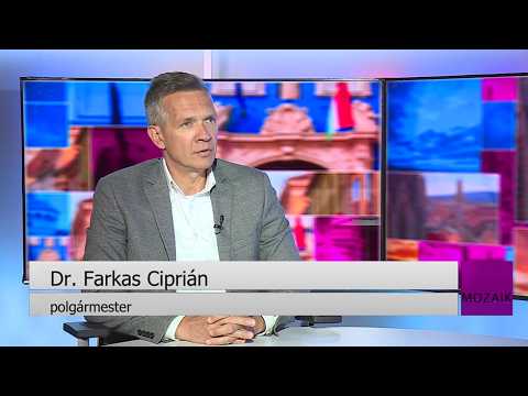 Mozaik - közéleti magazin - vendég: Dr. Farkas Ciprián - 2026.05.29.