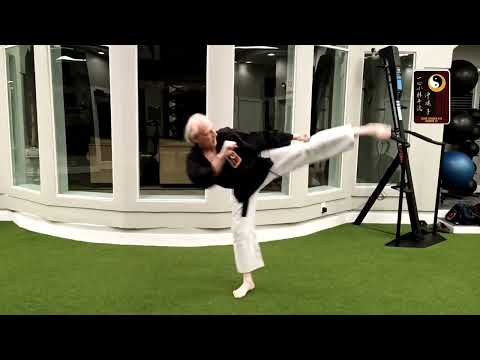 Cross Step Side Thrust – Shihan Rod Lindgren