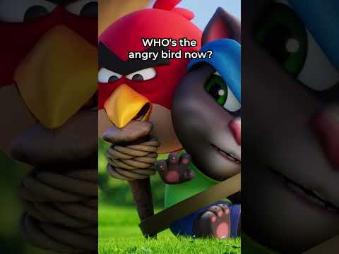 Who's the Angry Bird Now? 🐷🎯  @AngryBirds X Talking Tom