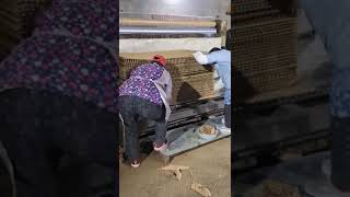 #coolingpadmakingmachine #ovenmachine #oven #machine #factoryshorts #honeycomb #equipment