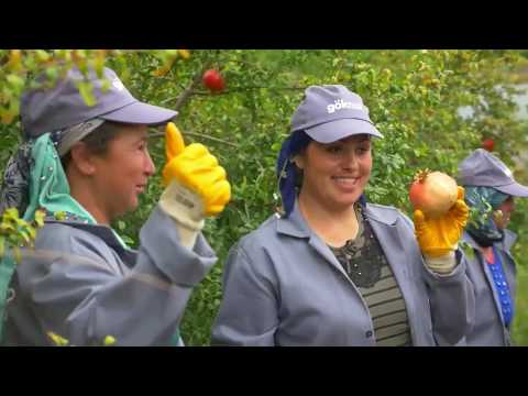 Fruit Drops- Promotion Film-3