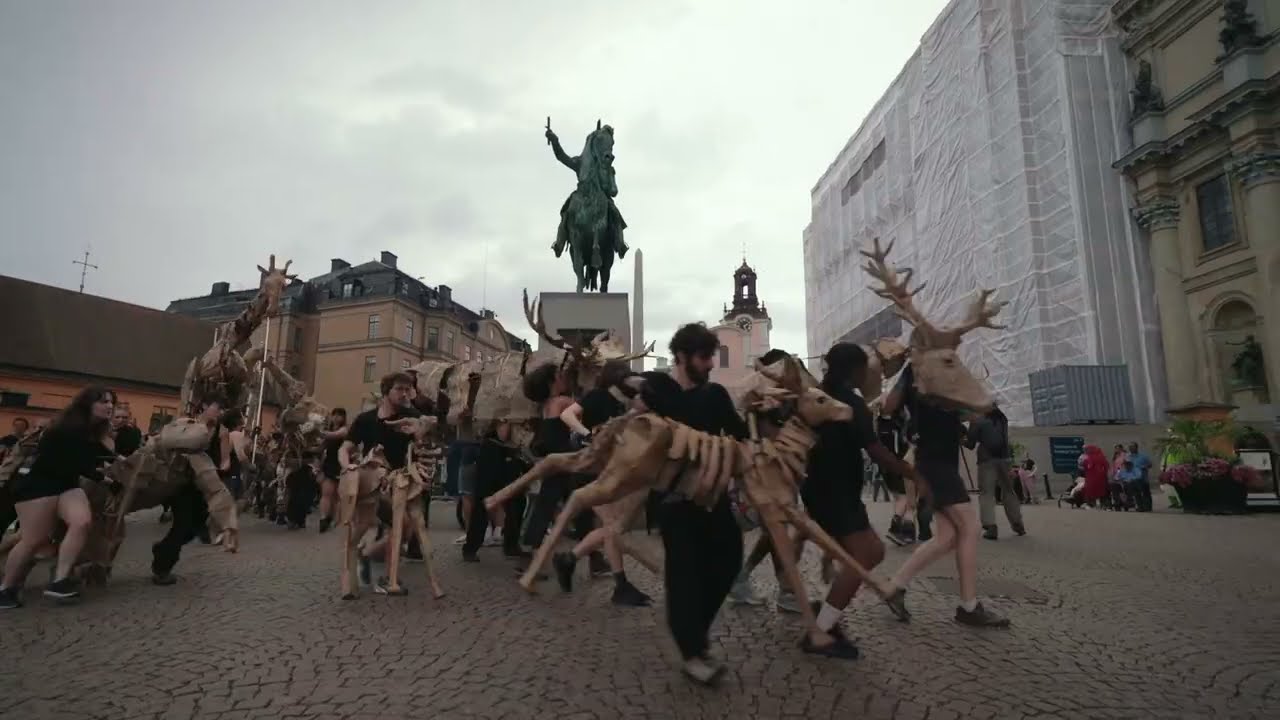 THE HERDS sweep through beautiful Stockholm