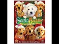 Santa Buddies The Legend Of Santa Paws 2009 DVD Overview