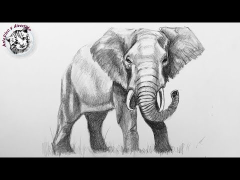 Como Desenhar Um Elefante Realista Passo A Passo Como Desenhar Como Desenhar Um Elefante Realista Passo A Passo Como Desenhar
