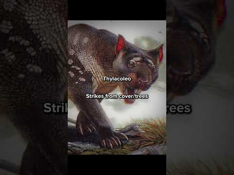 Best Ambush Predators ☠️