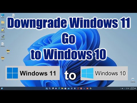 How to Downgrade Windows 11 to Windows 10 and NOT LOSE Your Microsoft License➡️Tutorial in 2025