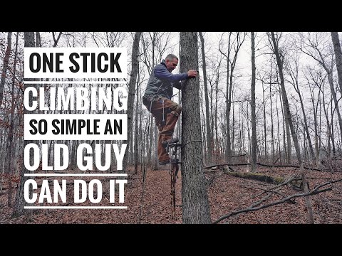 Saddle Hunting 101 - One Sticking (One Stick Climbing)