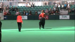 Tyler Crufts 2012