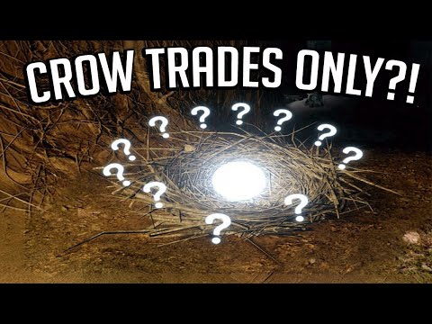 Can You Beat Dark Souls 2 Using Only Crow Trades? 🐦‍⬛