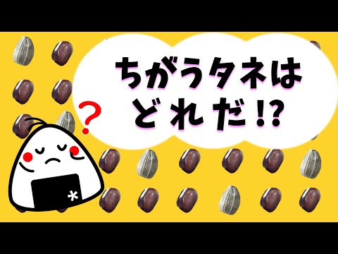 フリノバトラコス・ナタレンシス