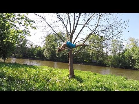 Krejci's Crazy Swing Gainer