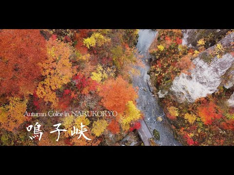 鳴子峡　Autumn Color in NARUKOKYO