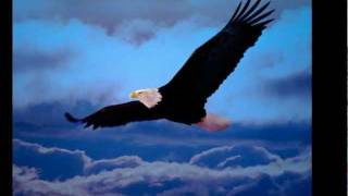 "Born to Fly" (Original Song)