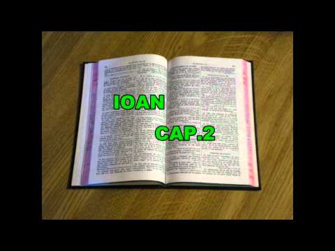 EVANGHELIA DUPA IOAN CAPITOLUL 2