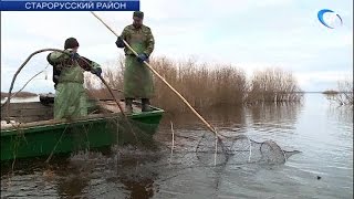 Ссылка