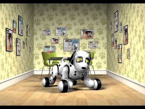 Ｈｅｌｌｏ！Ｚｏｏｍｅｒ (ハローズーマー) 英語で仕草③「Zoomer！Look at me」