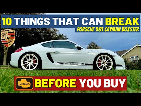 10 Things That Can Break - Porsche Boxster/Cayman 981 (10 Checks You Can Do)