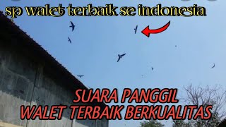 Download lagu SUARA PANGGIL WALET TERBAIK SE INDONESIA MEMUTUS JALUR LINTAS TERBUKTI MENGINAPKAN DENGAN CEPAT mp3