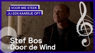 Bos, Stef - Door De Wind video