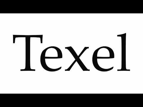How to Pronounce Texel