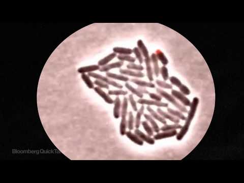 あなたの手を洗うことは、あなたを傷つけているかもしれません (Washing Your Hands Might Be Hurting You)