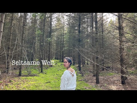 Seltsame Welt - Alli Neumann/ Silbermond (Kimi Cover)