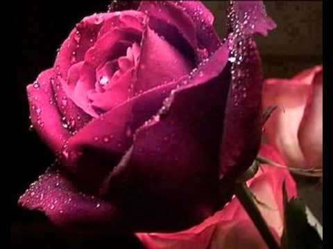 Video thumbnail for My Romance