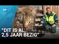 Reddingsactie voor verwaarloosde katten in Hoofddorp