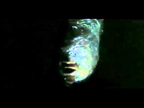 Video thumbnail for ​plastic face