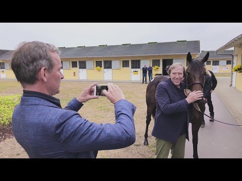 Gestüt Fährhof auf der Jährlings-Auktion 2018