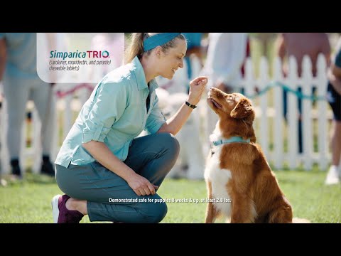 Simparica Trio for Dogs - 2.8-5.5 lbs (3 Chewable Tablets) - [Flea & Ticks] Video