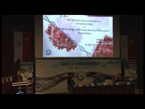 Düzce Üniversitesi Arı Zehiri Çalıştayı 2Oturumlar 2019