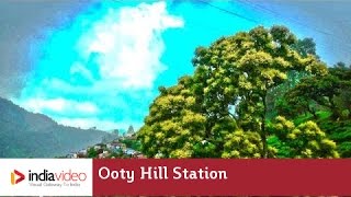 Road to Ooty, a hill station in Tamilnadu 