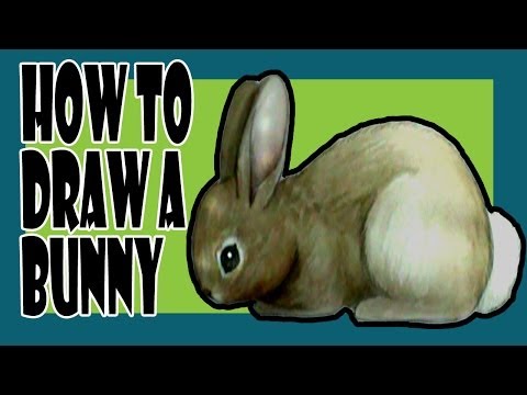 How to draw a bunny