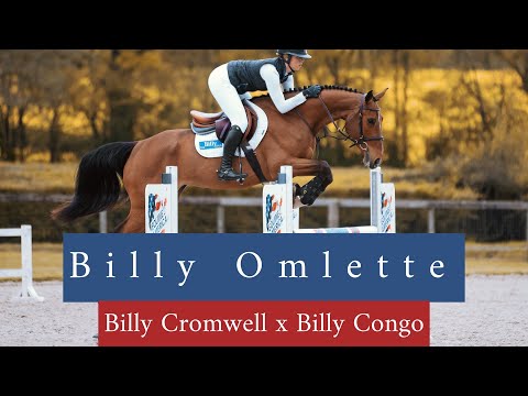 Billy Omlette