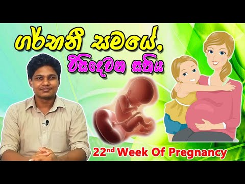 Pregnancy 22nd Week | Sinhala Medical Review | අම්මයි බබයි