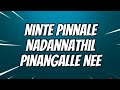 NINTE PINNALE LYRICAL VIDEO KAMATH KAMATH DILEEP MAMOOTY CSMP3
