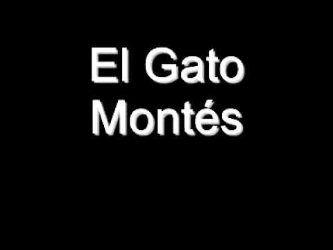 Pasodoble El Gato Montes