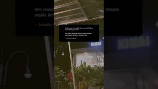 Download lagu Story WA lagu barat keren mp3