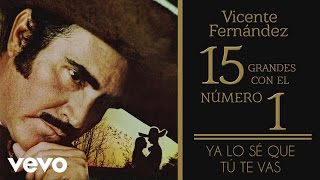 Vicente Fernández - Ya Lo Sé Que Tú Te Vas (Tema Remasterizado) [Cover Audio]