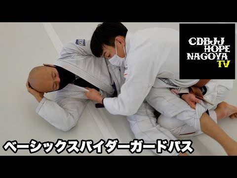 ベーシックスパイダーガードパス【BJJ】【柔術】